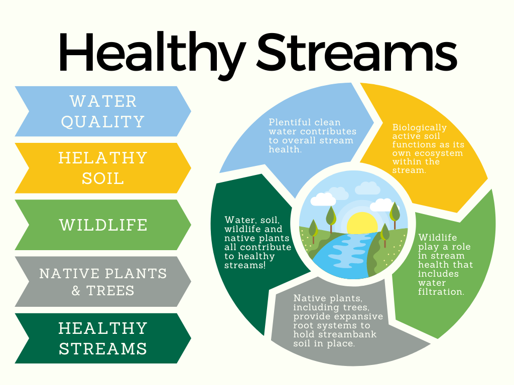 Healthy Stream Chart