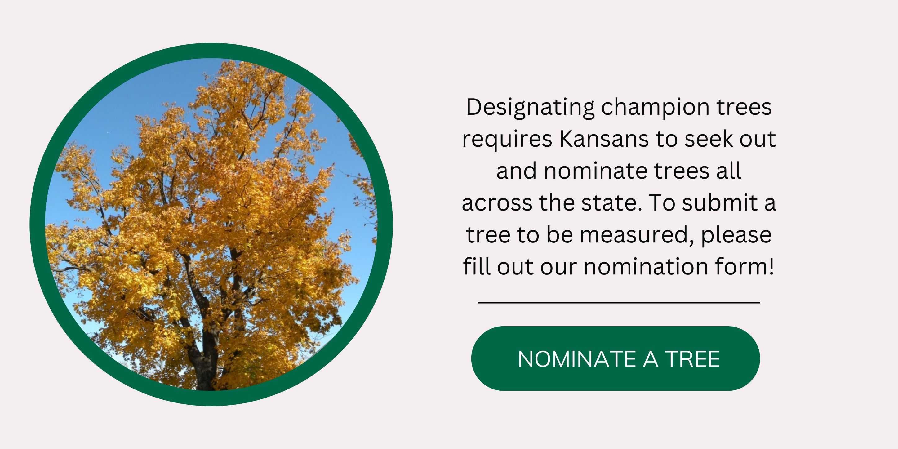 Nominate a tree