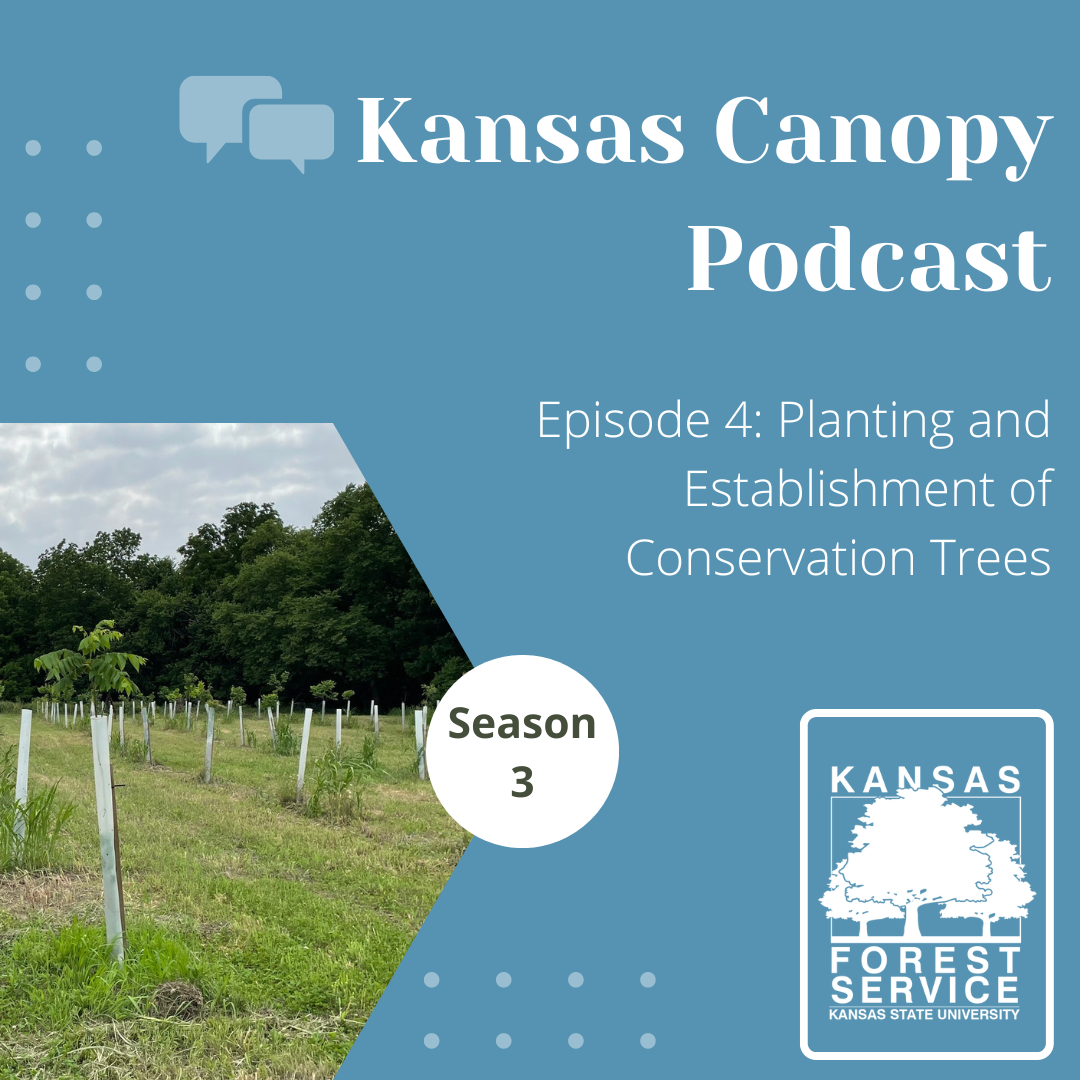 Planting and tree care podcast