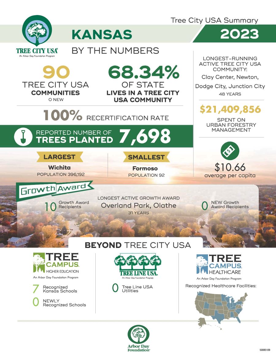 Tree City 