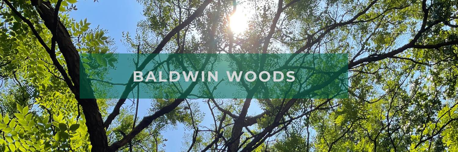 Baldwin Woods