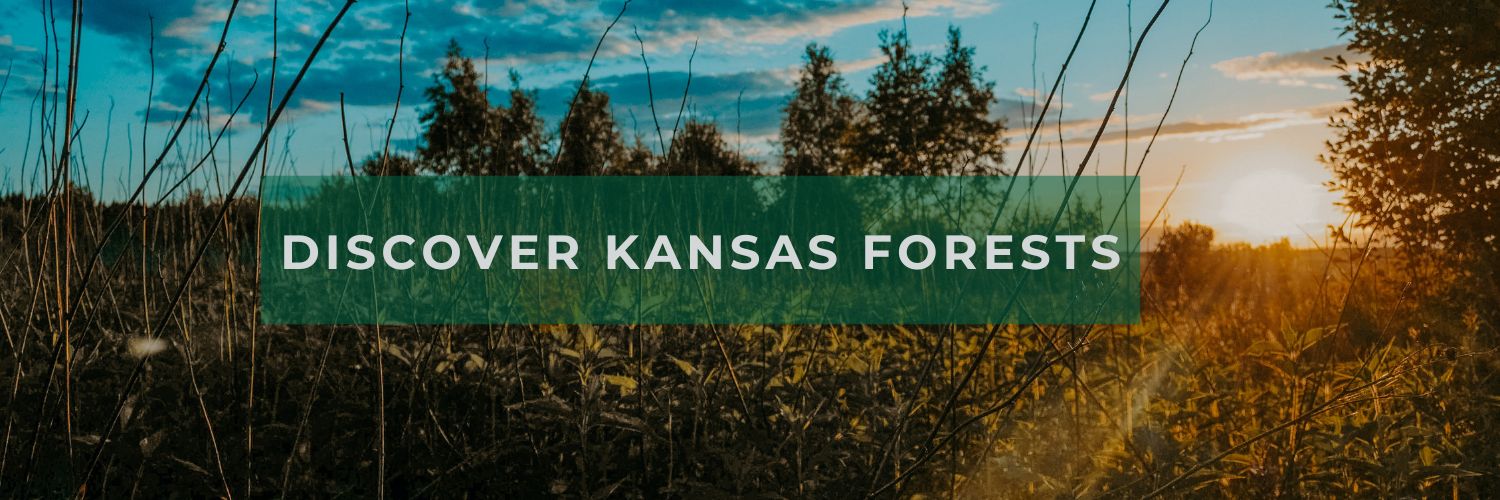 Discover KS Forests