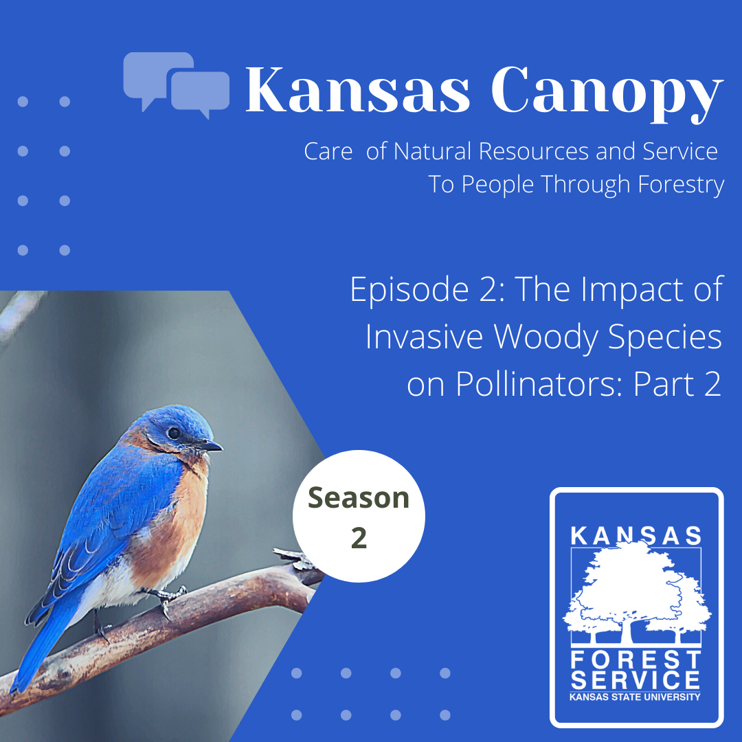 Impact of Invasives on Pollinators Part 2