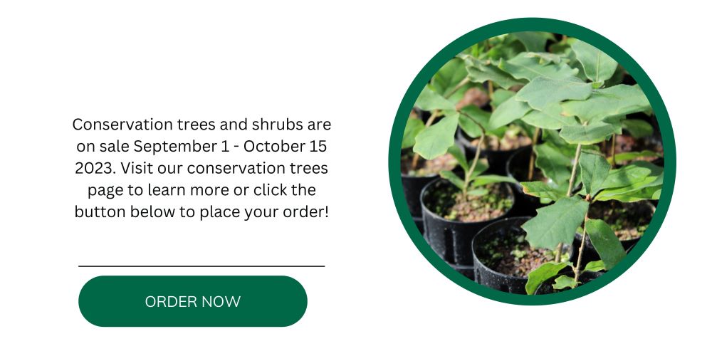 Conservation Trees