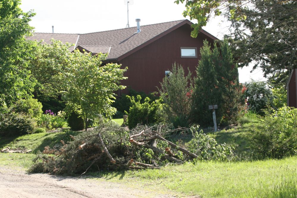 Debris in front of home