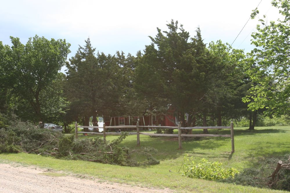 Tree branches trimmed and piles