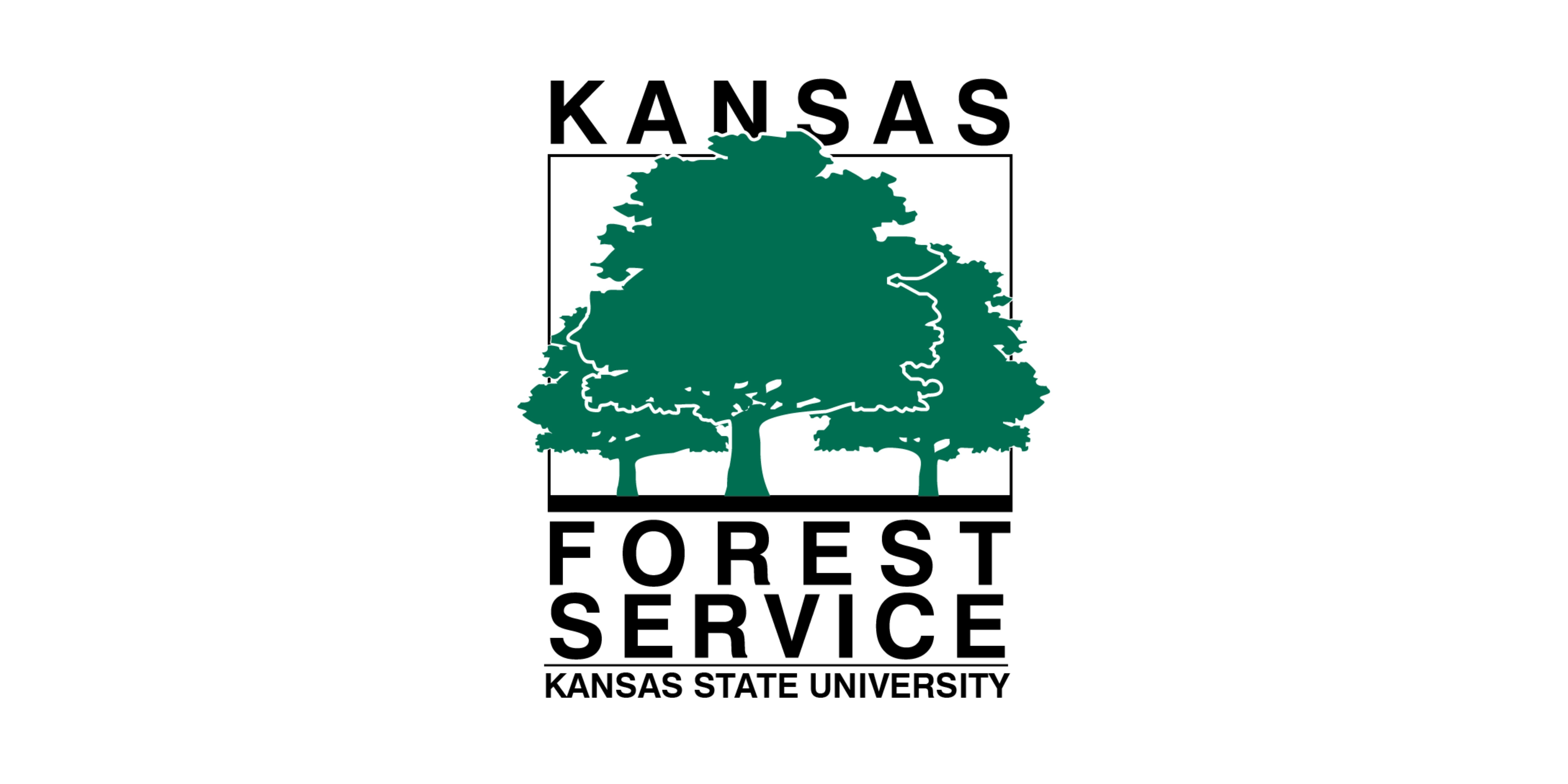 KFS Logo