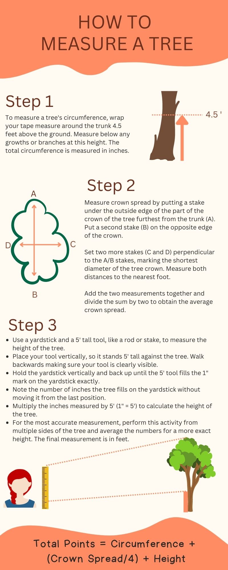 Vertical Trunk (USA) Circumference measurement