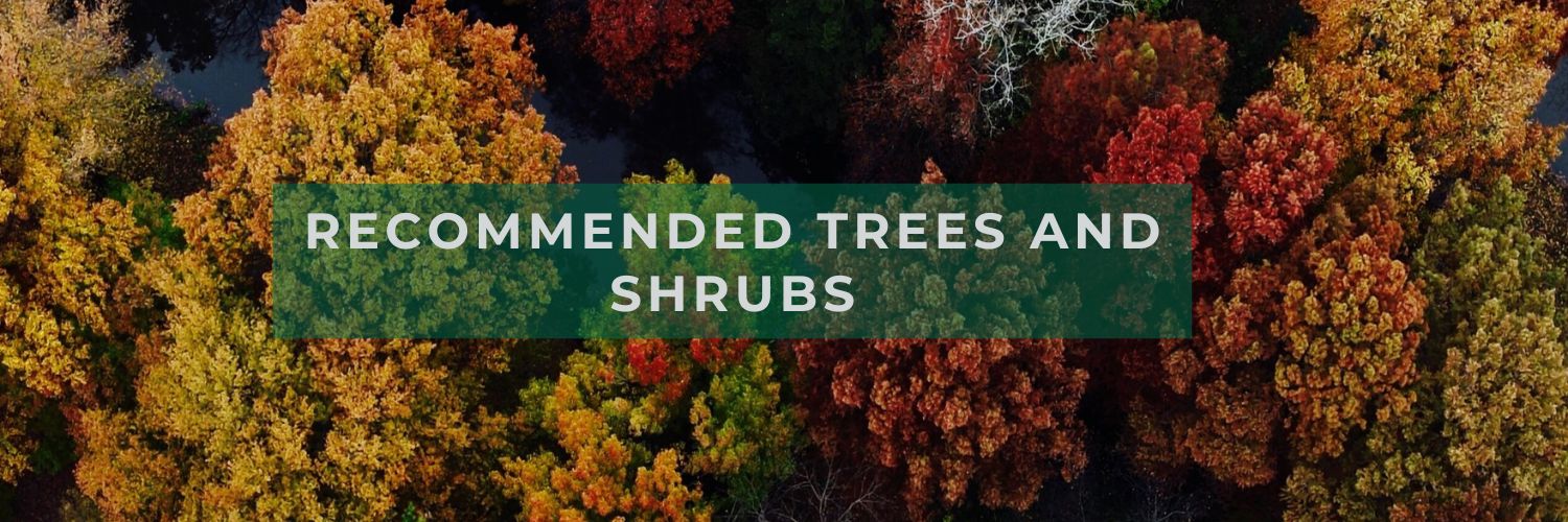 Recommended Trees