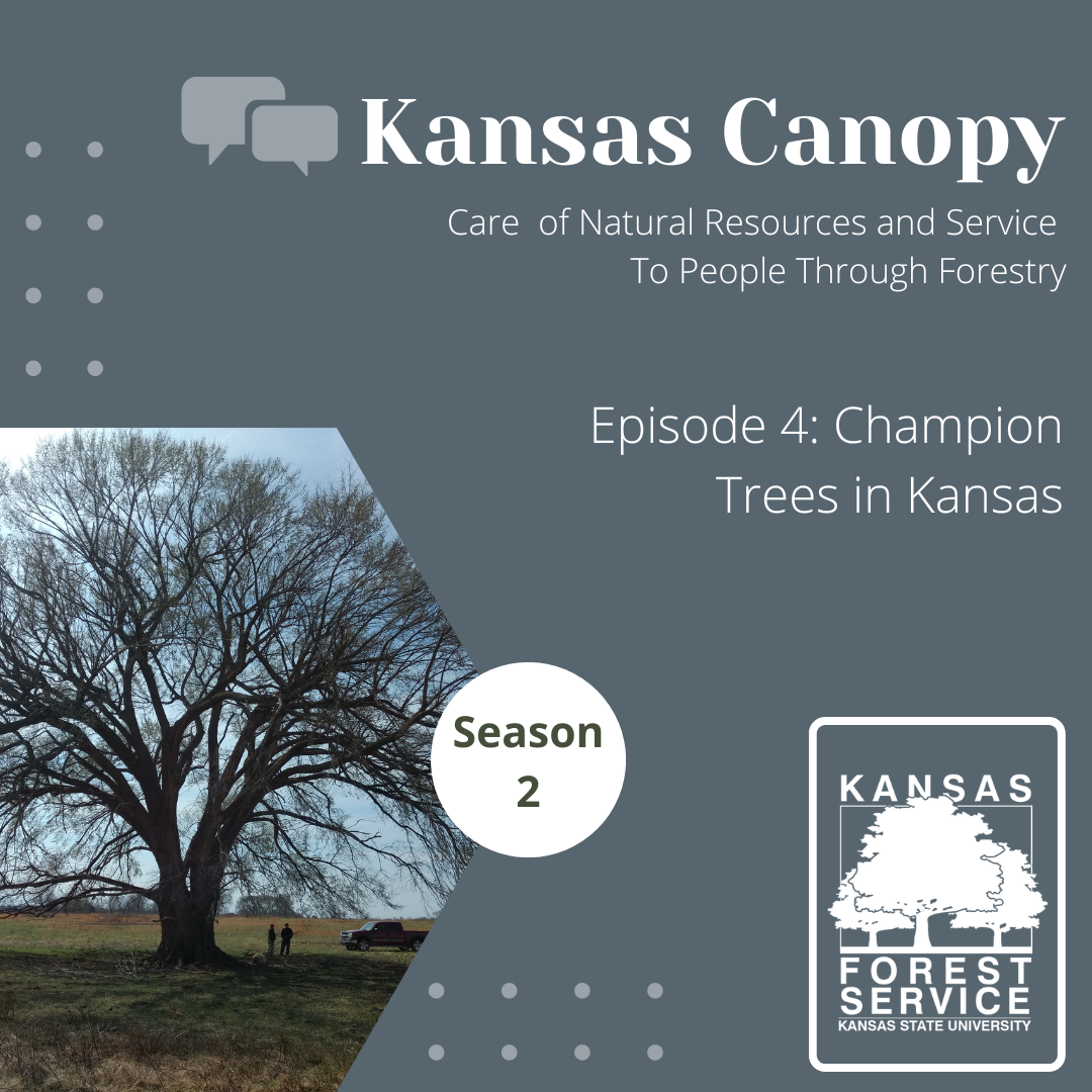Champion Trees in Kansas Podcast