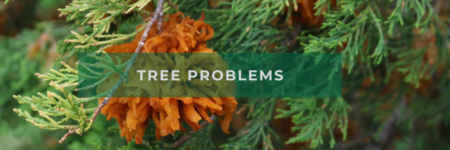 Tree Problems