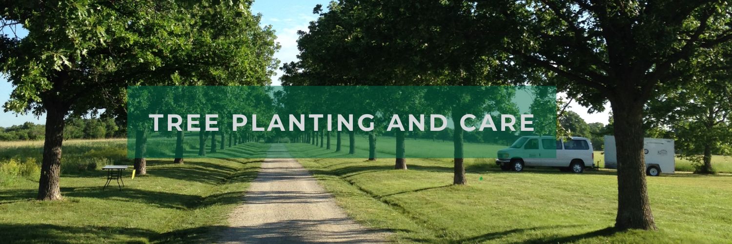 Tree Planting and Care