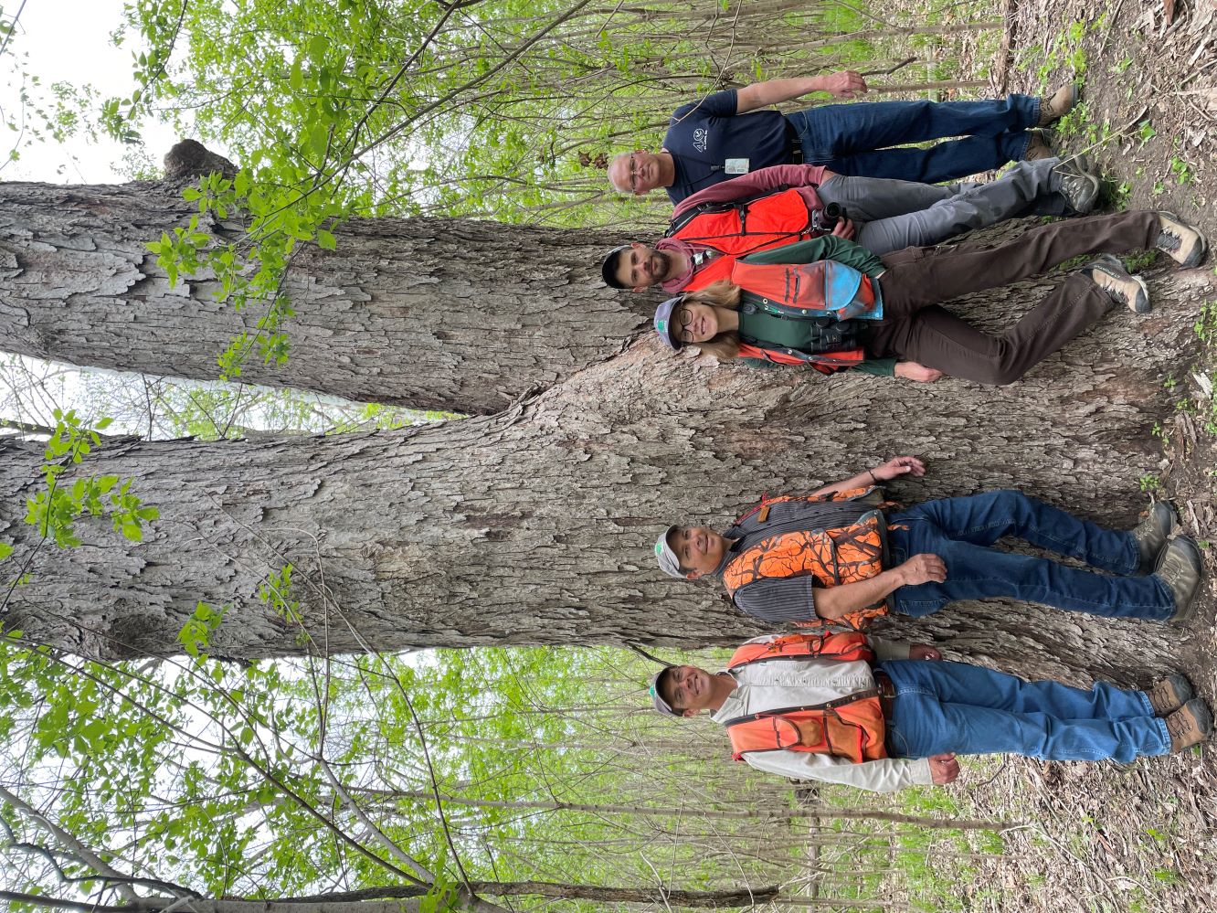 Staff with State Champion Pecan