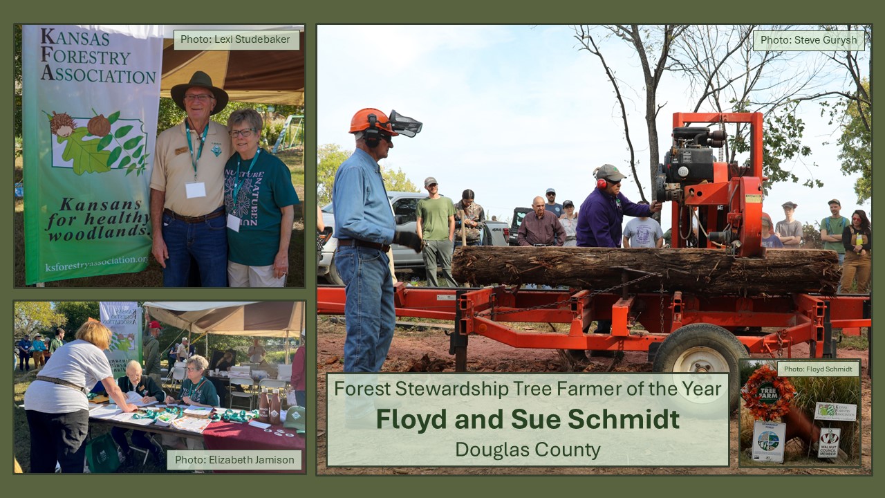 Sue and Floyd Schmidt Forest Stewardship Award