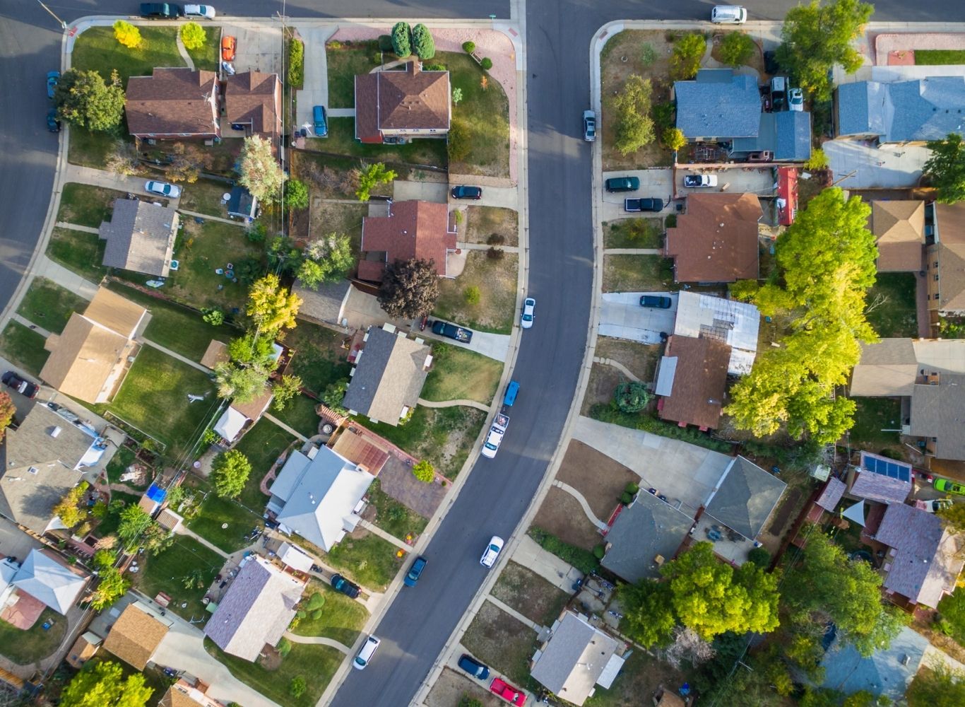 Neighborhood landscape